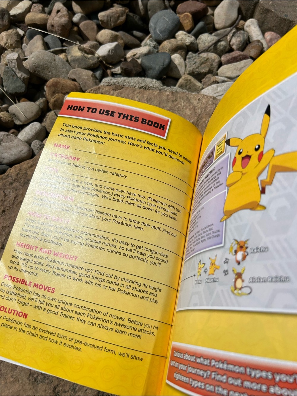 Pokémon Super Deluxe Essential Handbook - Picture 9 of 13